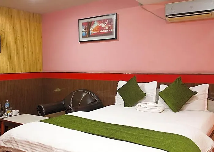 Hotel Vibor 5*