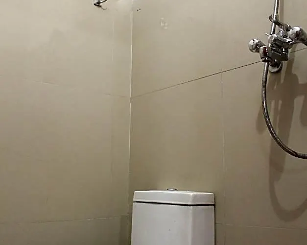 Vibor Hotel 5*