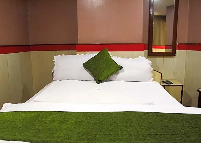 Hotel Vibor